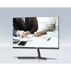 Màn hình VSP 2204H